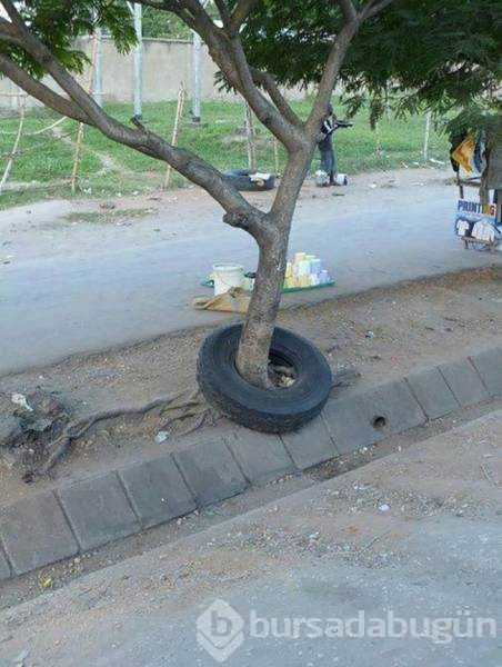 Günün en çok paylaşılan fotoğrafları
