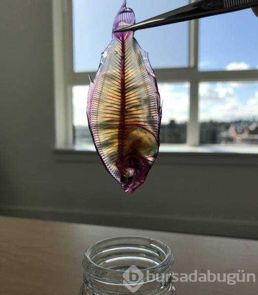 Günün en çok paylaşılan fotoğrafları
