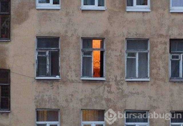 Günün en çok paylaşılan fotoğrafları
