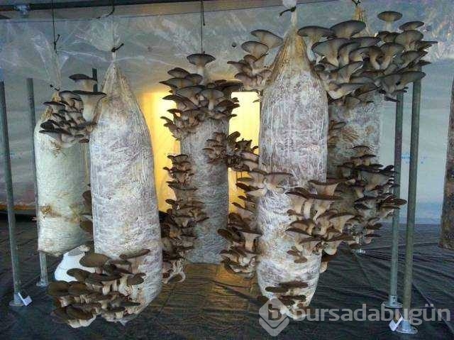 Günün en çok paylaşılan fotoğrafları
