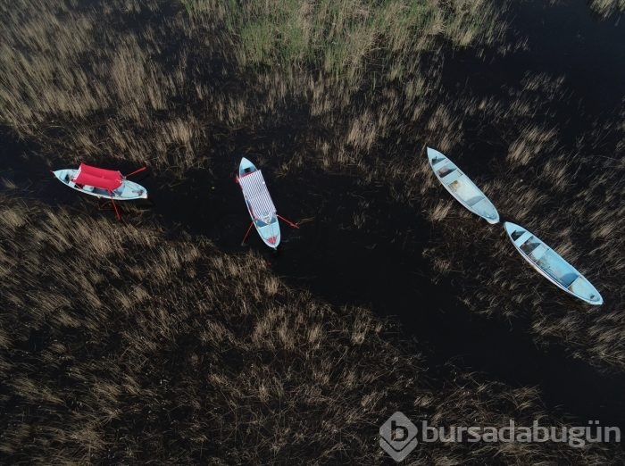 Gökyüzünden Gölyazı fotoğrafları