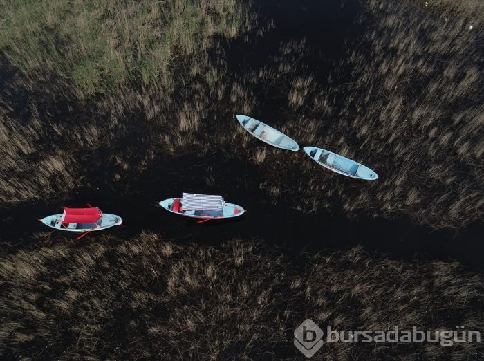 Gökyüzünden Gölyazı fotoğrafları