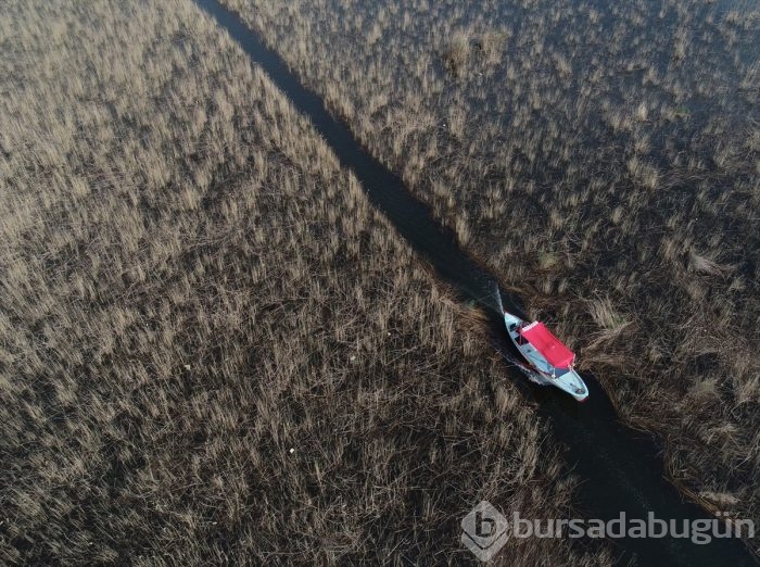 Gökyüzünden Gölyazı fotoğrafları