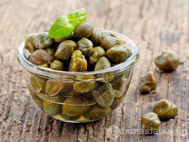 Dünyanın en ilginç bitkileri