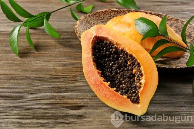Dünyanın en ilginç bitkileri