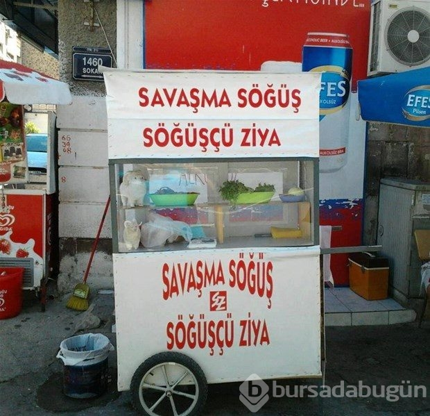 Yurdum insanından ilginç anlar
