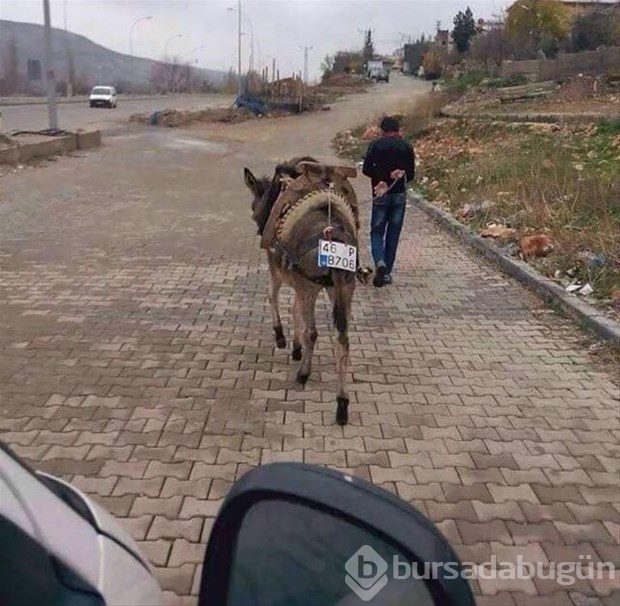 Yurdum insanından ilginç anlar