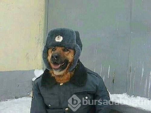 Bu kareler sadece Rusya'da var