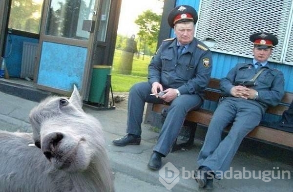 Bu kareler sadece Rusya'da var