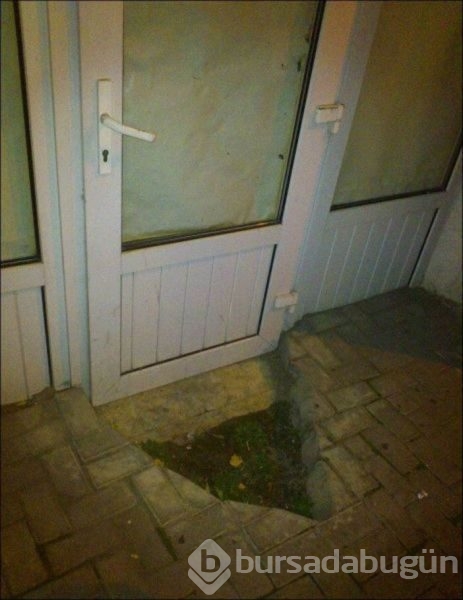 Bu kareler sadece Rusya'da var