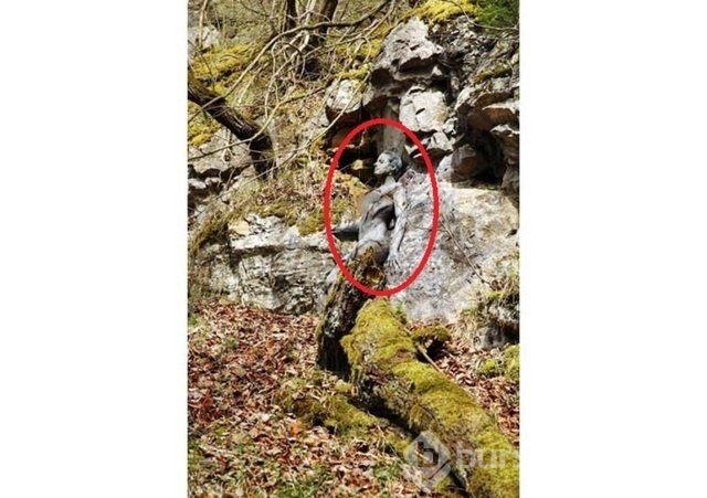 Fotoğraflara iyi bakın, ne görüyorsunuz?