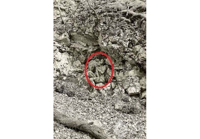 Fotoğraflara iyi bakın, ne görüyorsunuz?