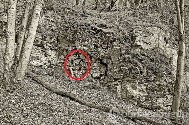 Fotoğraflara iyi bakın, ne görüyorsunuz?