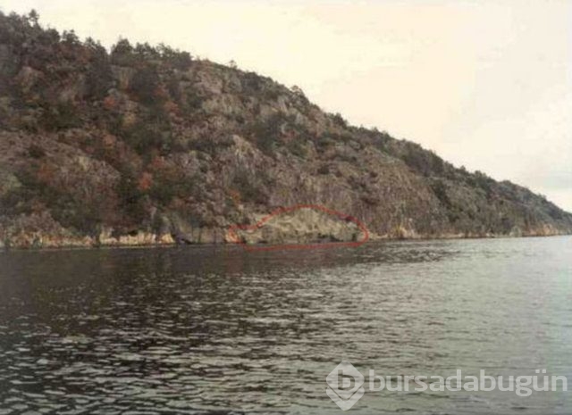 Fotoğraflara iyi bakın, ne görüyorsunuz?