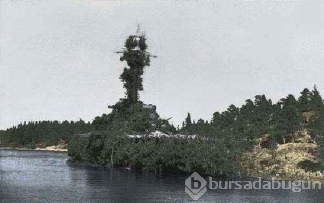 Fotoğraflara iyi bakın, ne görüyorsunuz?