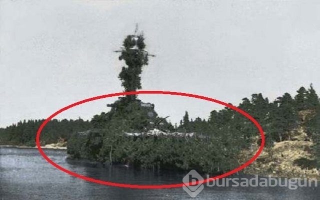 Fotoğraflara iyi bakın, ne görüyorsunuz?