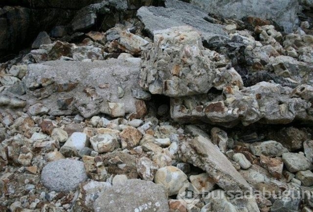 Fotoğraflara iyi bakın, ne görüyorsunuz?