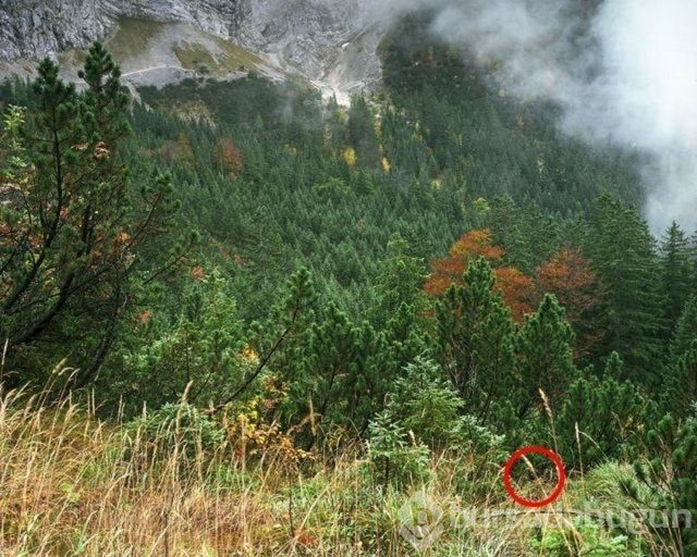 Fotoğraflara iyi bakın, ne görüyorsunuz?