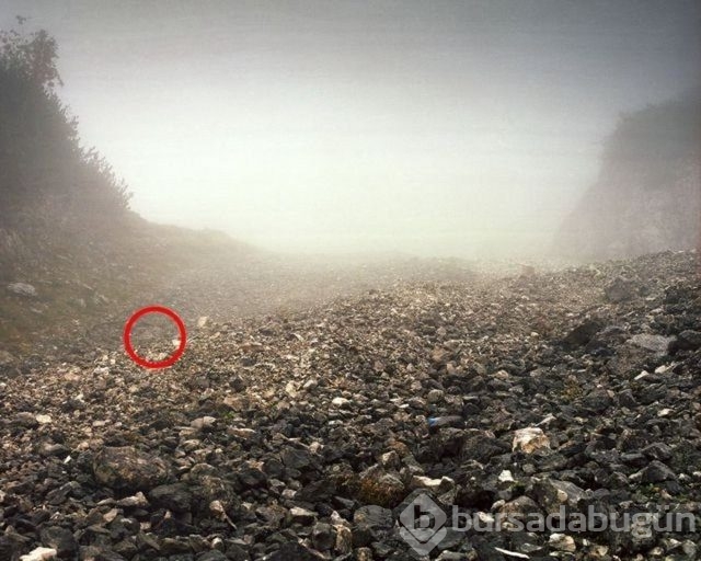 Fotoğraflara iyi bakın, ne görüyorsunuz?