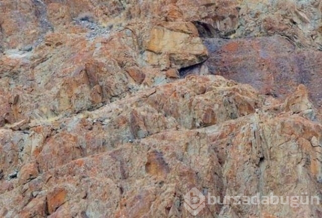 Fotoğraflara iyi bakın, ne görüyorsunuz?