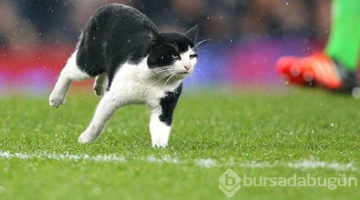Sporcuların düştükleri komik haller