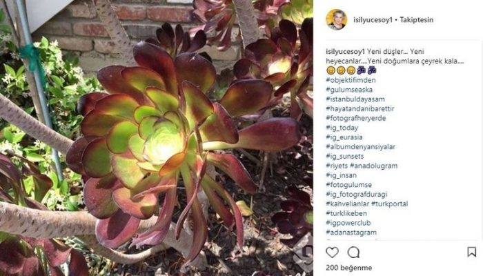 Ünlülerin Instagram paylaşımları (03.04.2018)