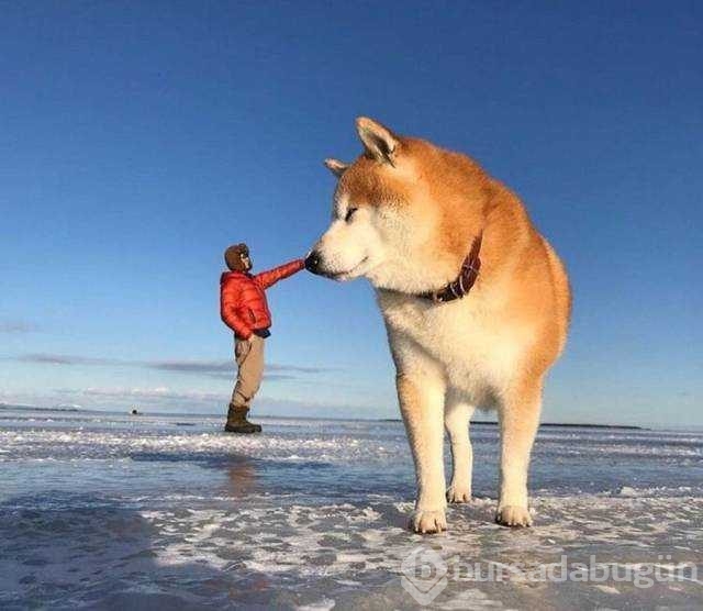 Günün en çok paylaşılan fotoğrafları
