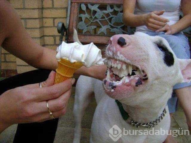 Günün en çok paylaşılan fotoğrafları