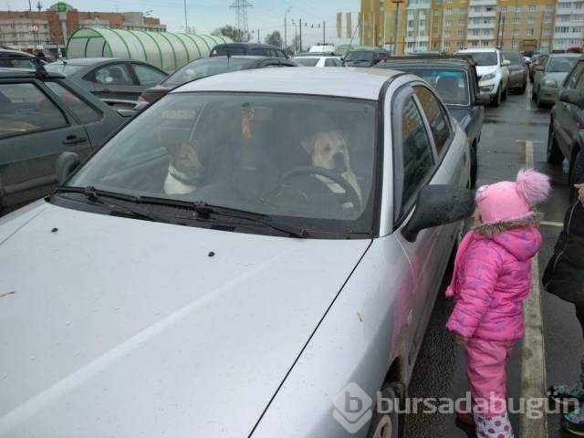 Günün en çok paylaşılan fotoğrafları
