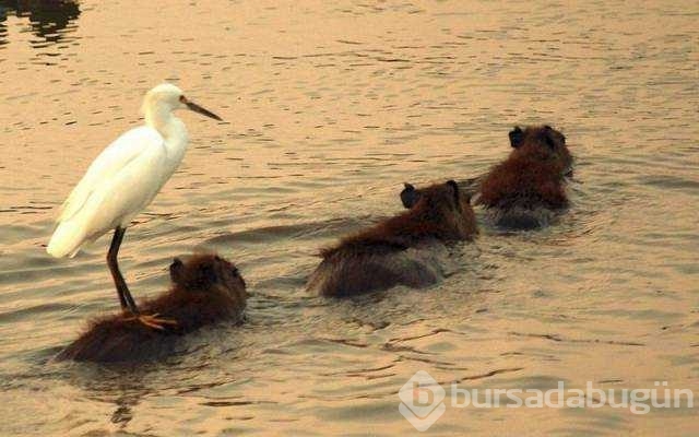 Günün en çok paylaşılan fotoğrafları