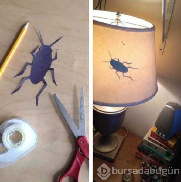 Günün en çok paylaşılan fotoğrafları