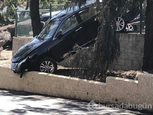 Günün en çok paylaşılan fotoğrafları