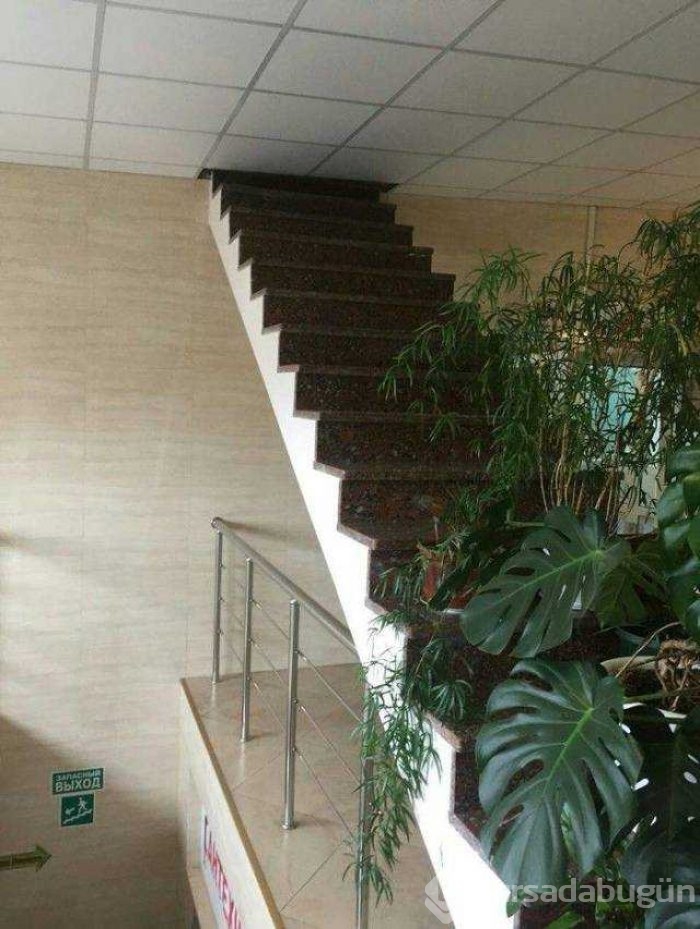Günün en çok paylaşılan fotoğrafları