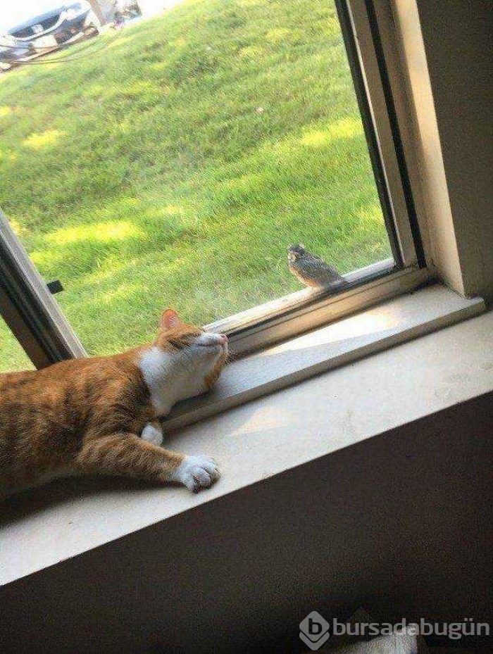 Günün en çok paylaşılan fotoğrafları