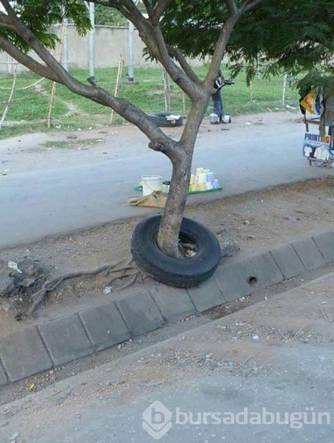 Günün en çok paylaşılan fotoğrafları
