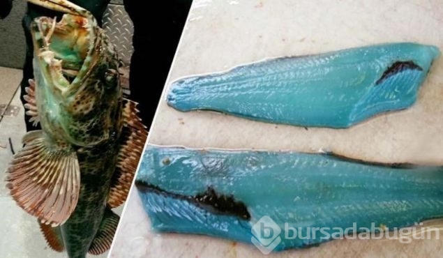 Günün en çok paylaşılan fotoğrafları