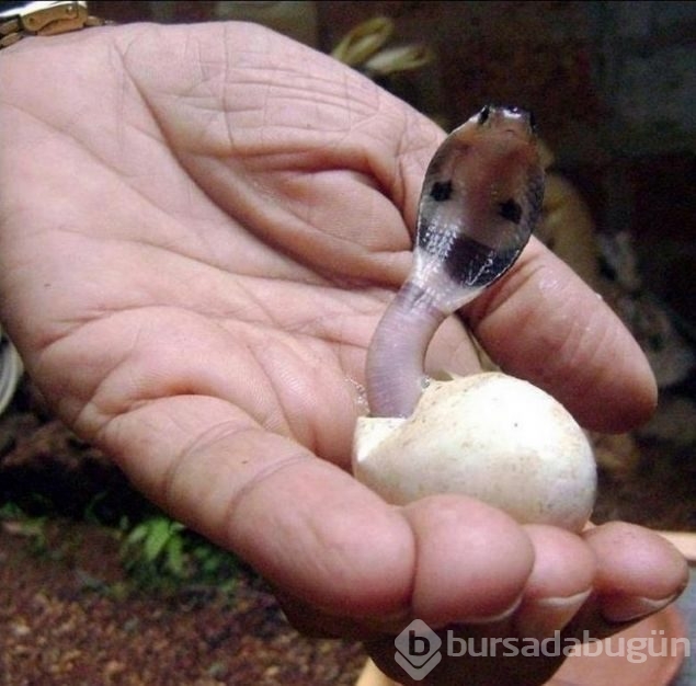 Günün en çok paylaşılan fotoğrafları
