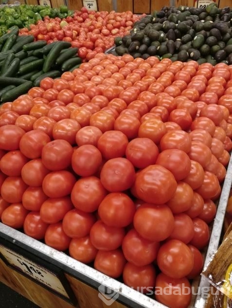 Günün en çok paylaşılan fotoğrafları