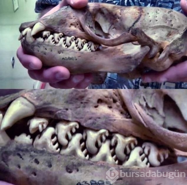 Günün en çok paylaşılan fotoğrafları