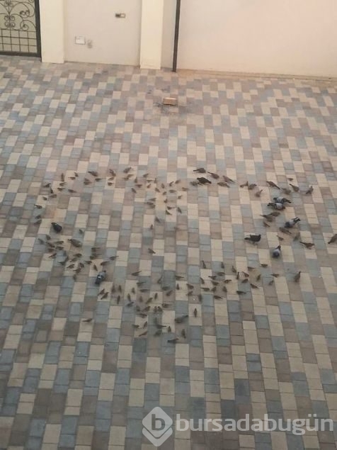 Günün en çok paylaşılan fotoğrafları