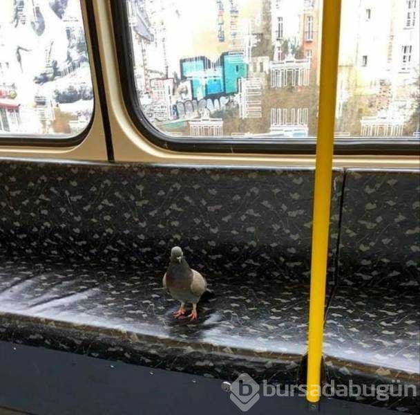 Günün en çok paylaşılan fotoğrafları