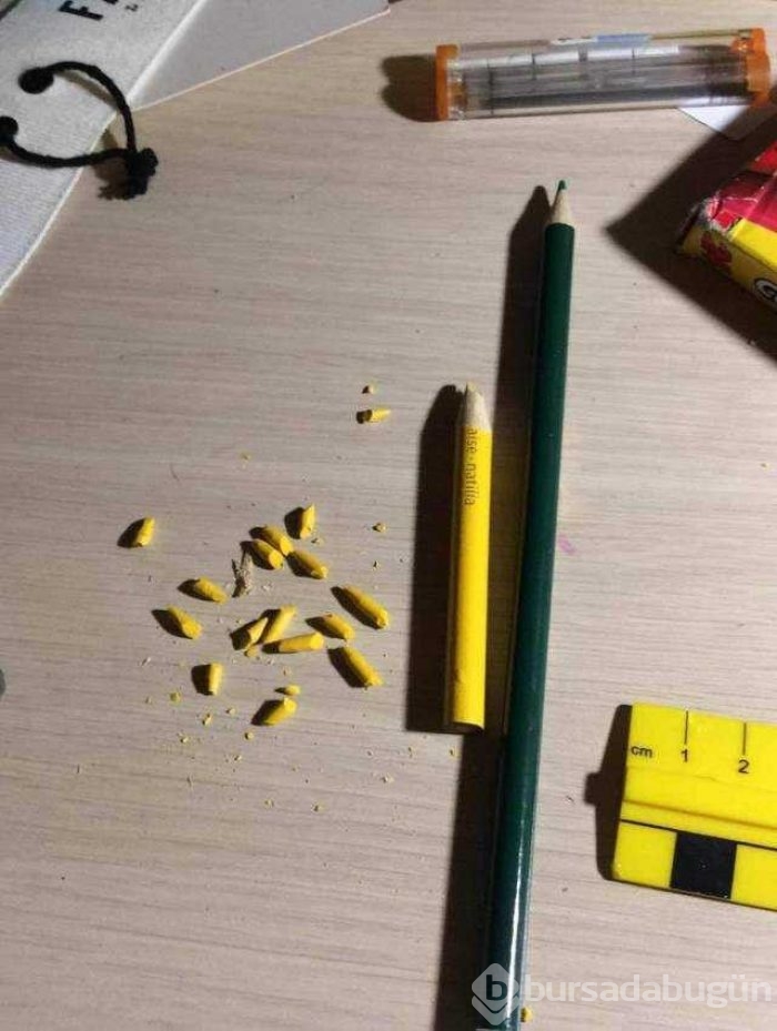 Günün en çok paylaşılan fotoğrafları