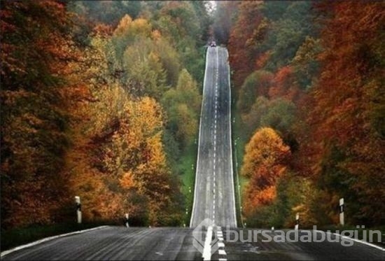 Dünyadaki en ilginç yollar