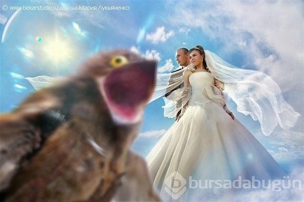 En ilginç düğün fotoğrafları