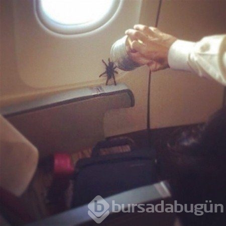 Yolculuk yaparken utanmadılar!
