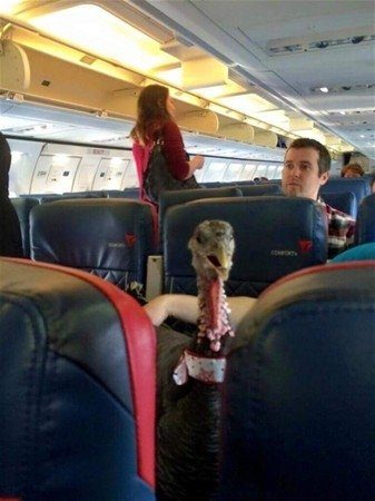 Yolculuk yaparken utanmadılar!