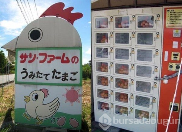 Sadece Japonya`da
