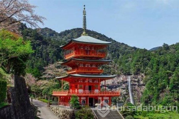 Sadece Japonya`da