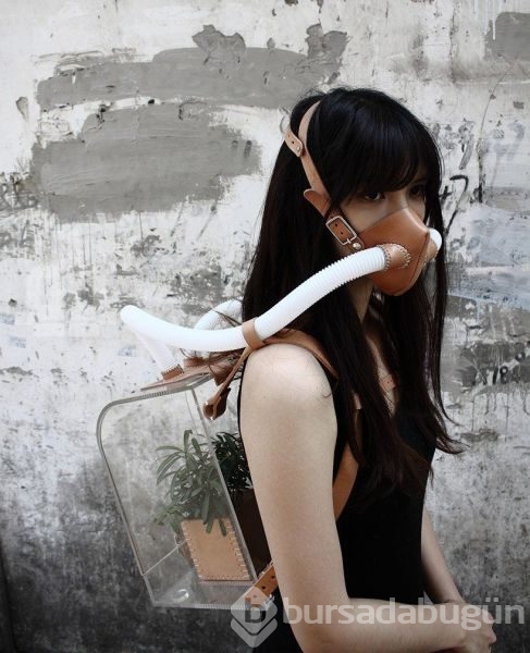 Sadece Japonya`da