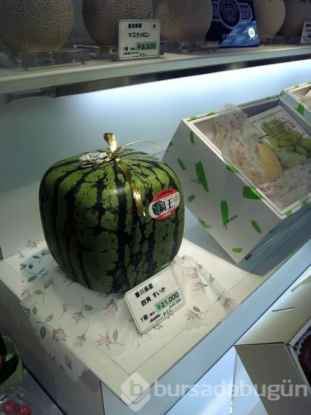 Sadece Japonya`da